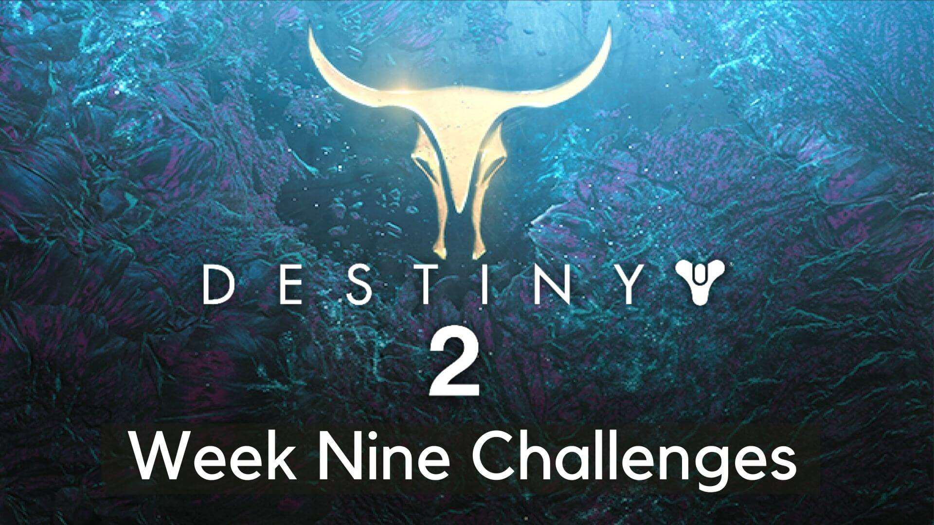 destiny 2 season of the chosen week 9