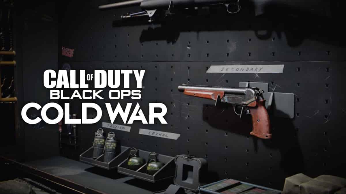 Black Ops Cold War August 17 update patch notes