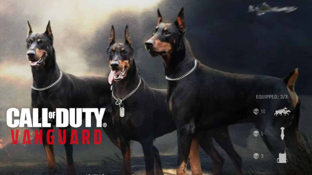 Vanguard attack dogs