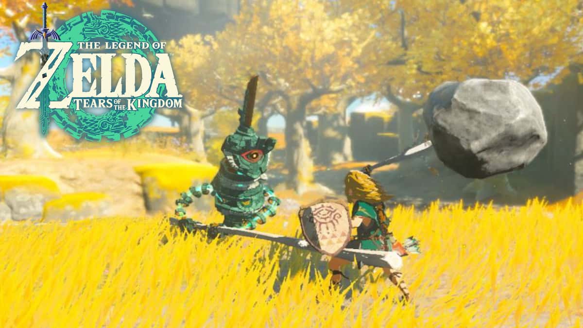 Link in battle Zelda Tears of the Kingdom