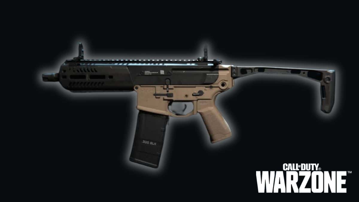 M13C Assault Rifle with Warzone 2 logo