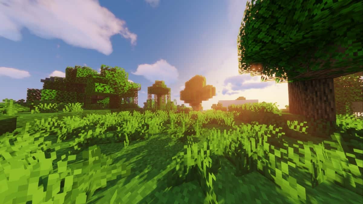Minecraft forest biome.