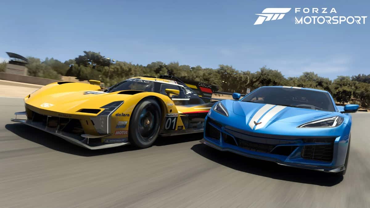 A Cadillac and a Corvette racing in Forza Motorsport