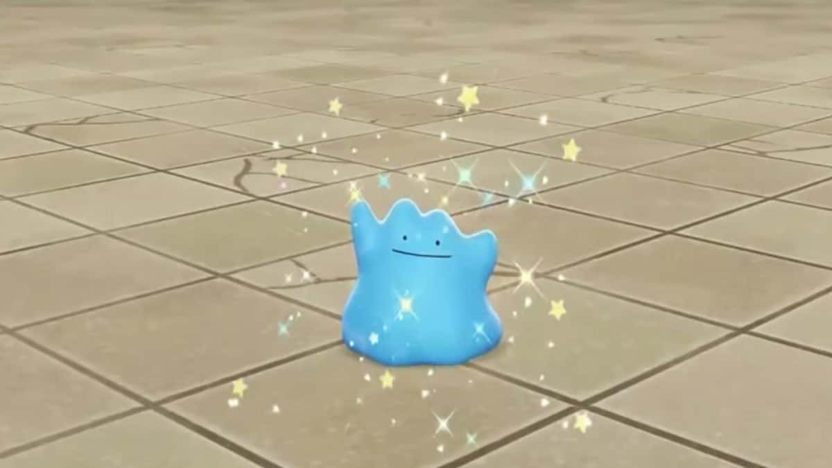 pokemon scarlet and violet shiny ditto image