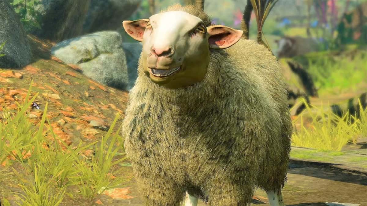 Sheep in Baldur's Gate 3