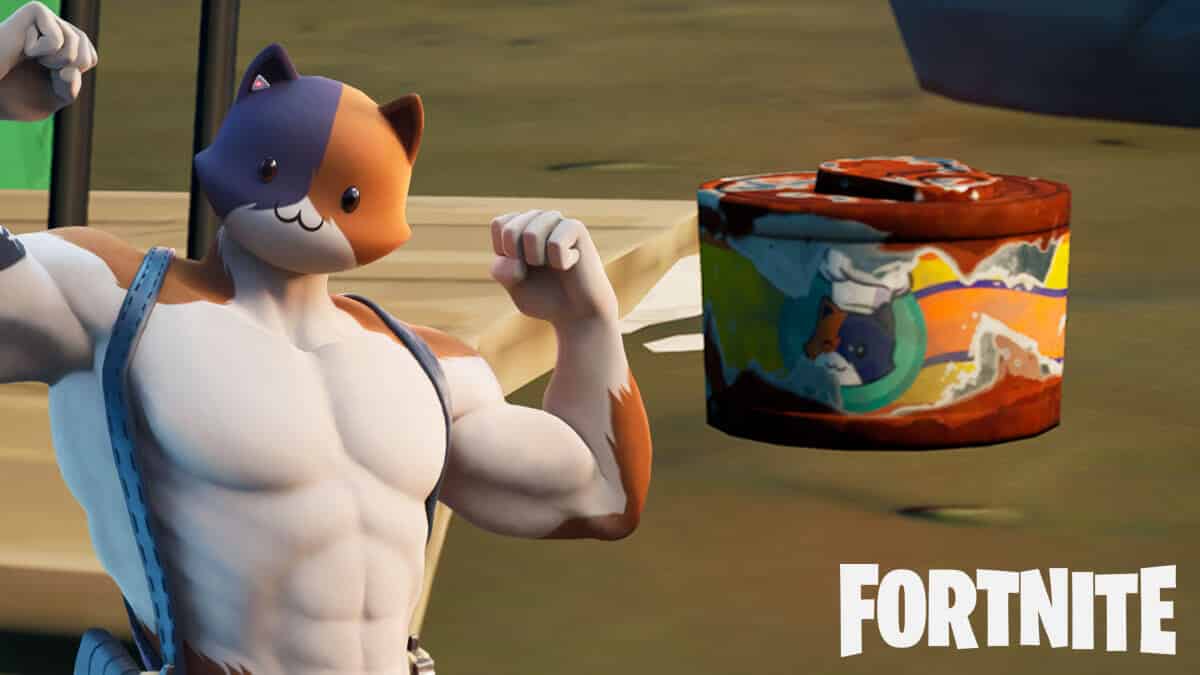 Fortnite meowscles and vintage cat food can