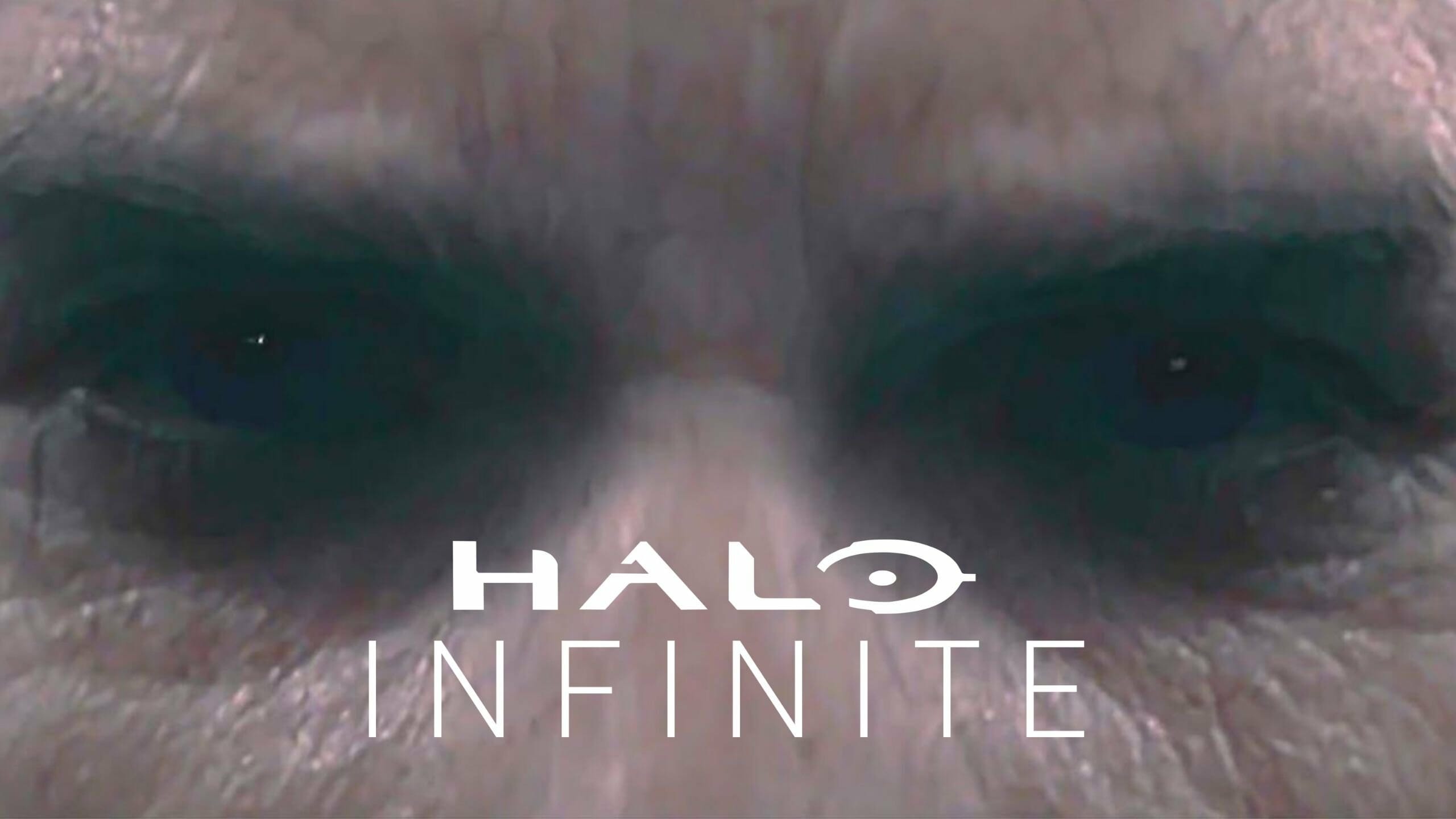 halo infinite master chief face