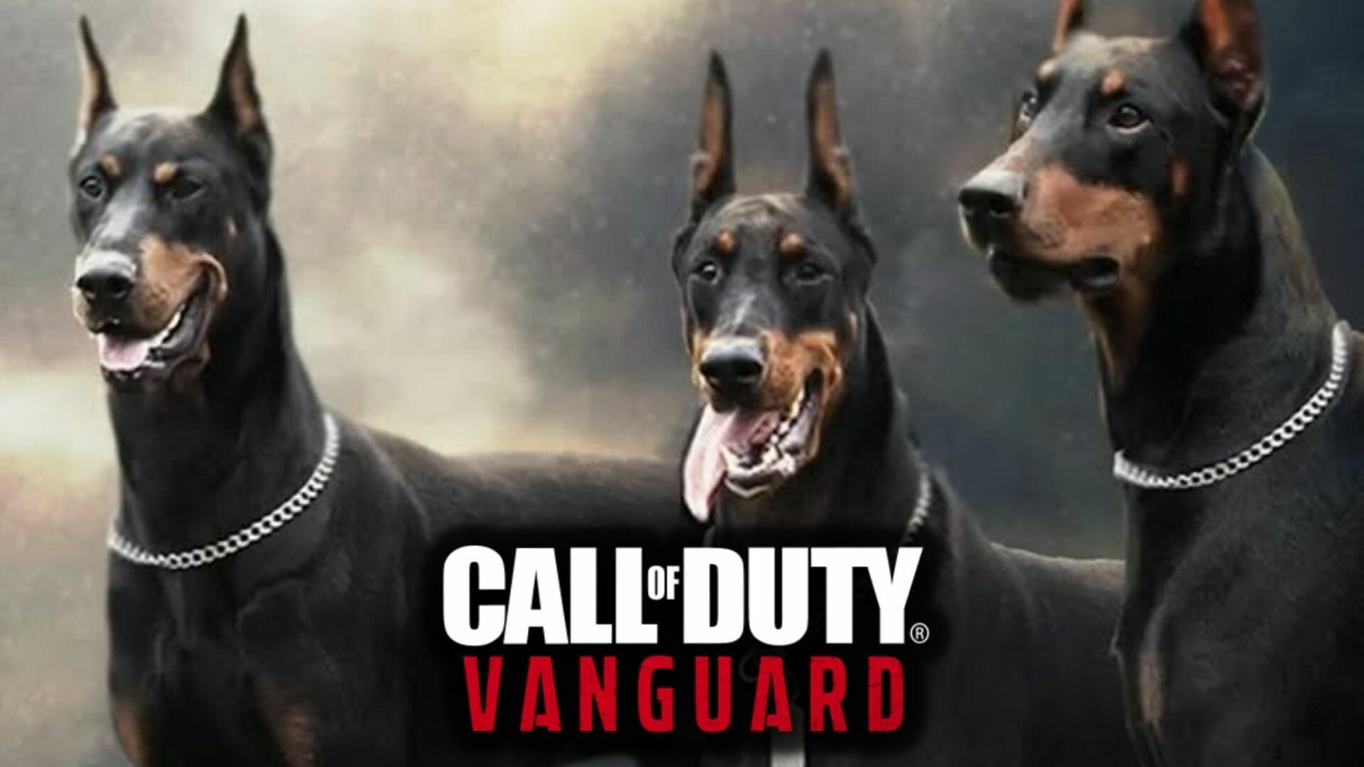 vanguard attack dogs