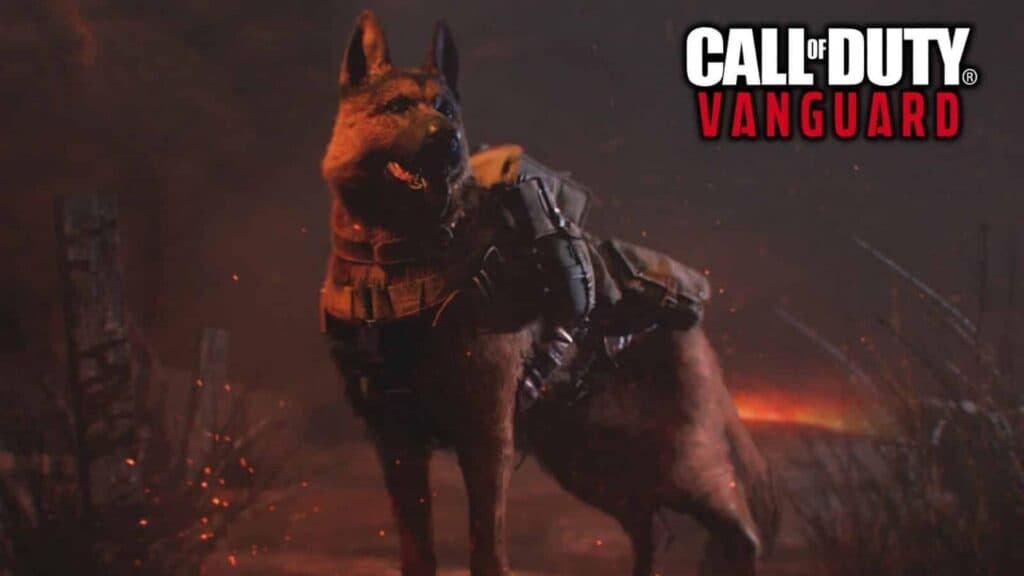 Dog Killstreak in Call of Duty Vanguard