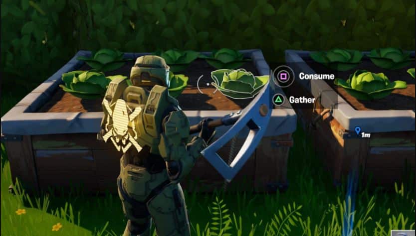Master Chief standing in front of Fortnite Cabbage Patch