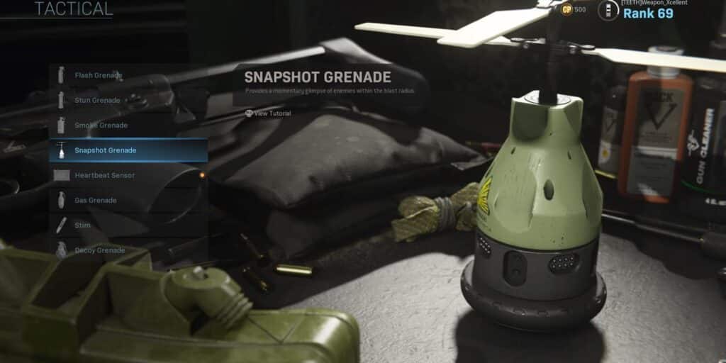 Snapshot Grenade in Modern Warfare