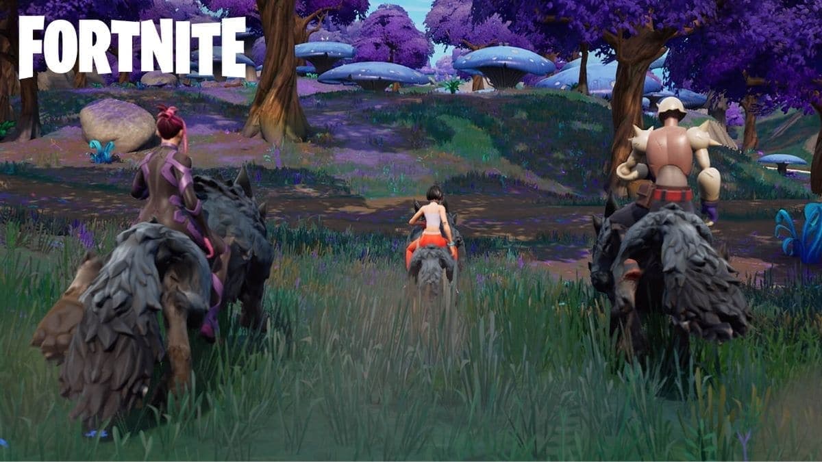 Fortnite characters riding animals