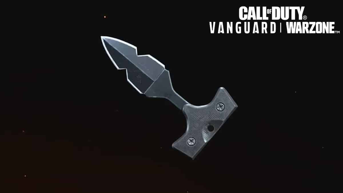 Push Dagger in Warzone and Vanguard