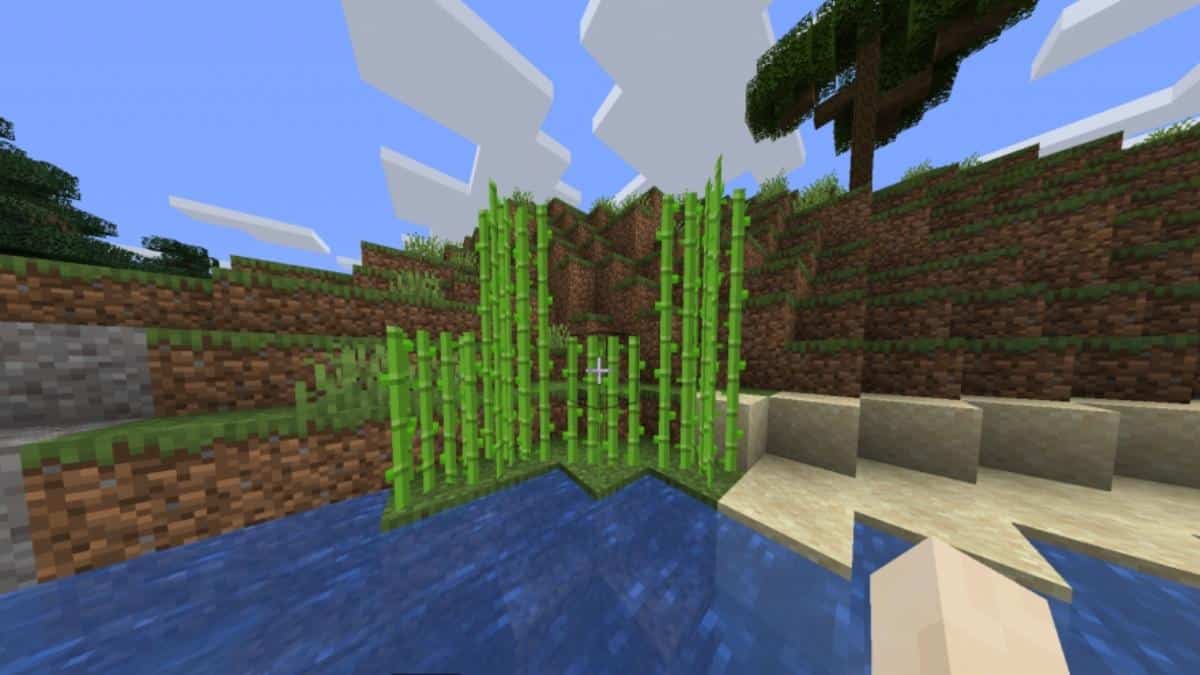 Sugarcanes in Minecraft