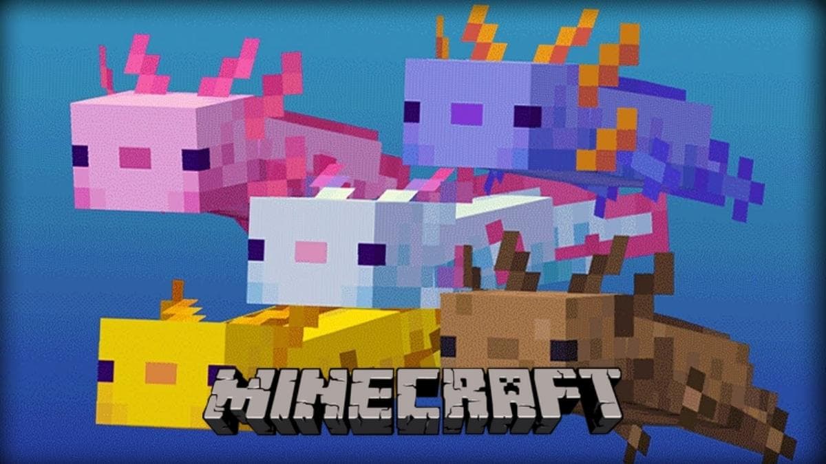 Minecraft axolotls cover