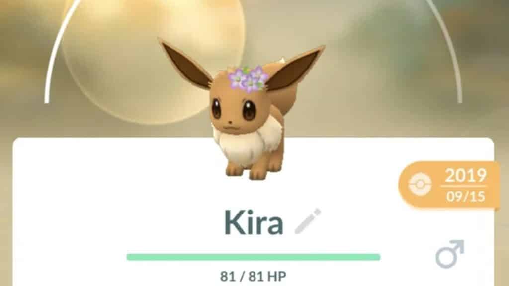 An Eevee renamed Kira in Pokemon Go