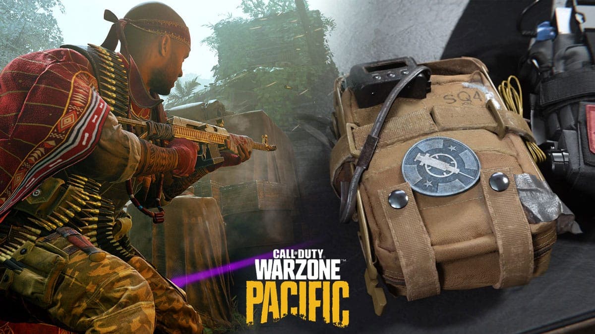 Warzone player and EOD Perk