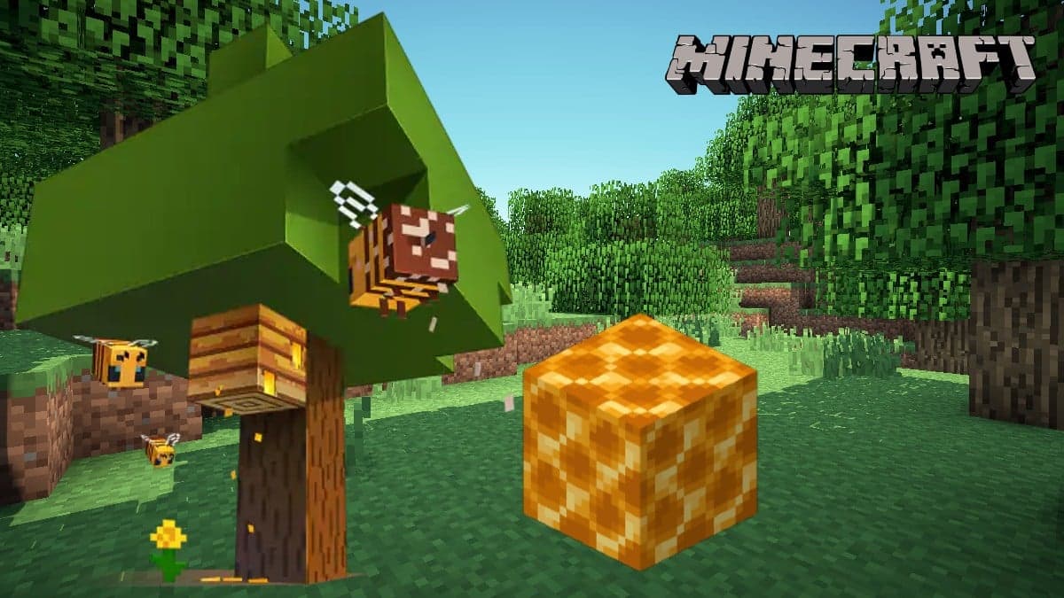 Honeycomb Minecraft