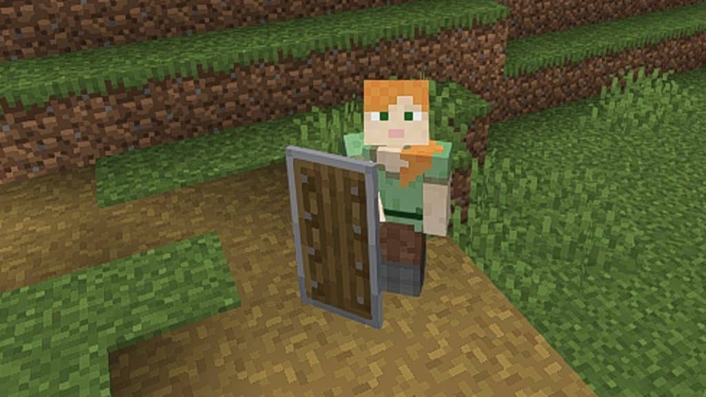 Minecraft character holding a shield