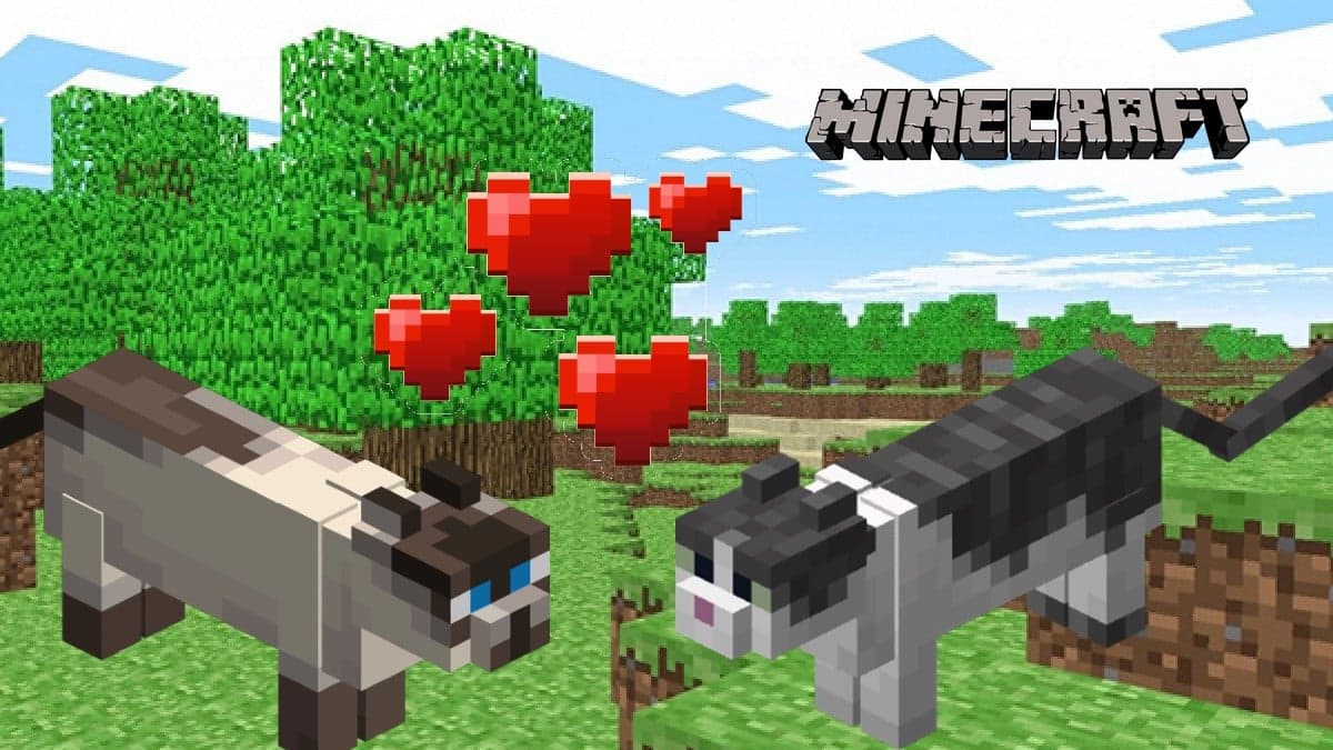Tamed cats in Minecraft