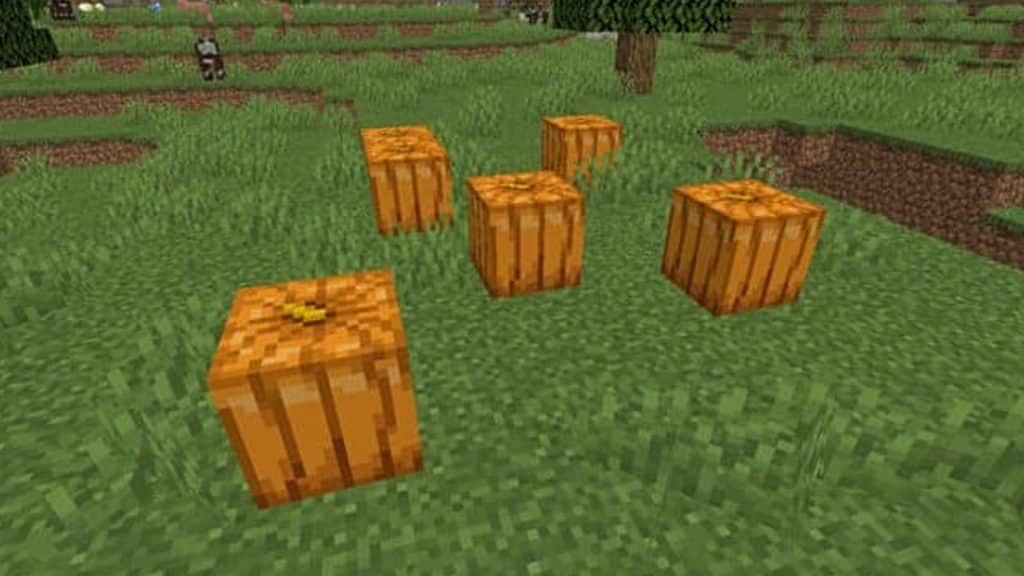Pumpkins in Minecraft