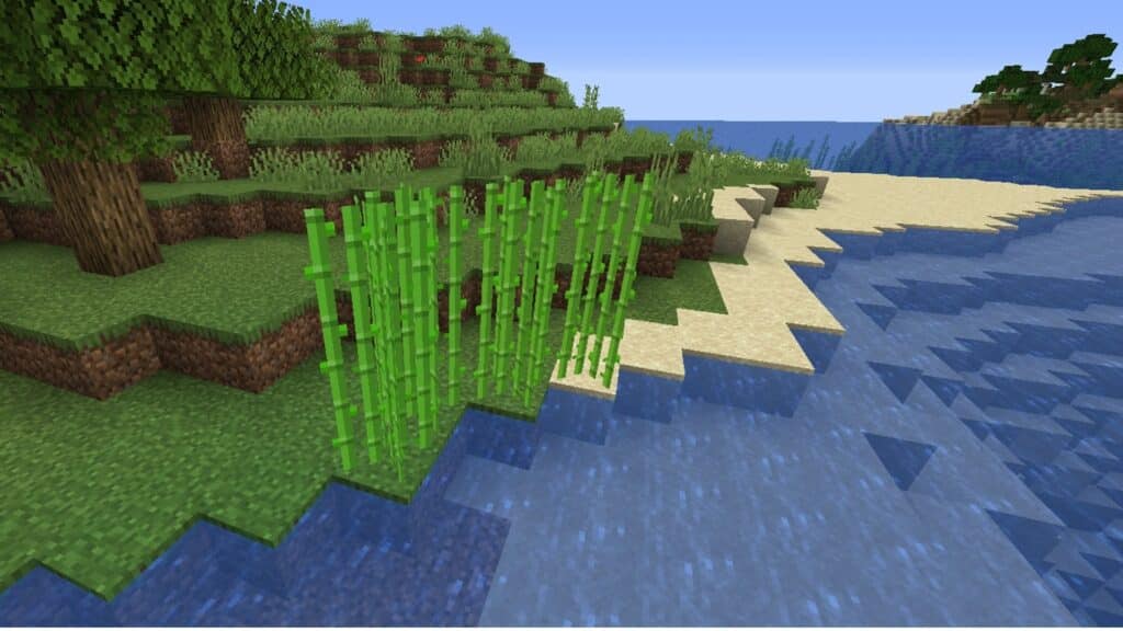 Sugarcane growing near water in Minecraft.
