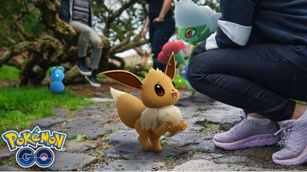 An Eevee standing near a Pokemon Go trainer