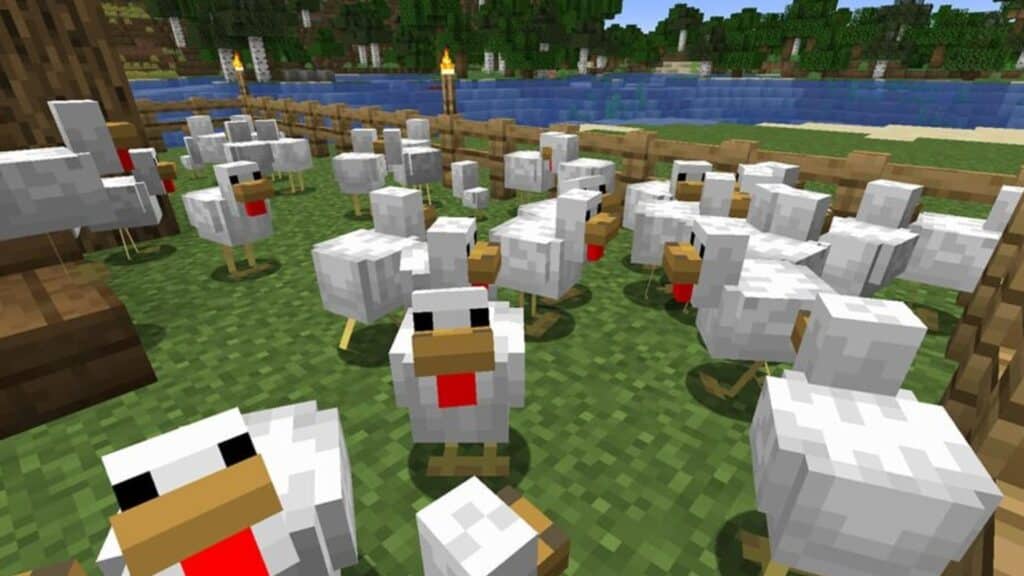 A chicken farm in Minecraft