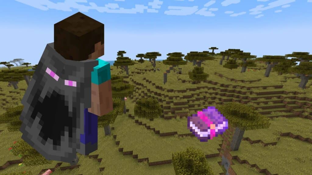 Minecraft character wearing Elytra and Mending enchantment