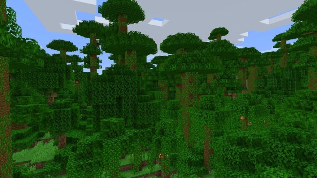 Jungle biome in Minecraft