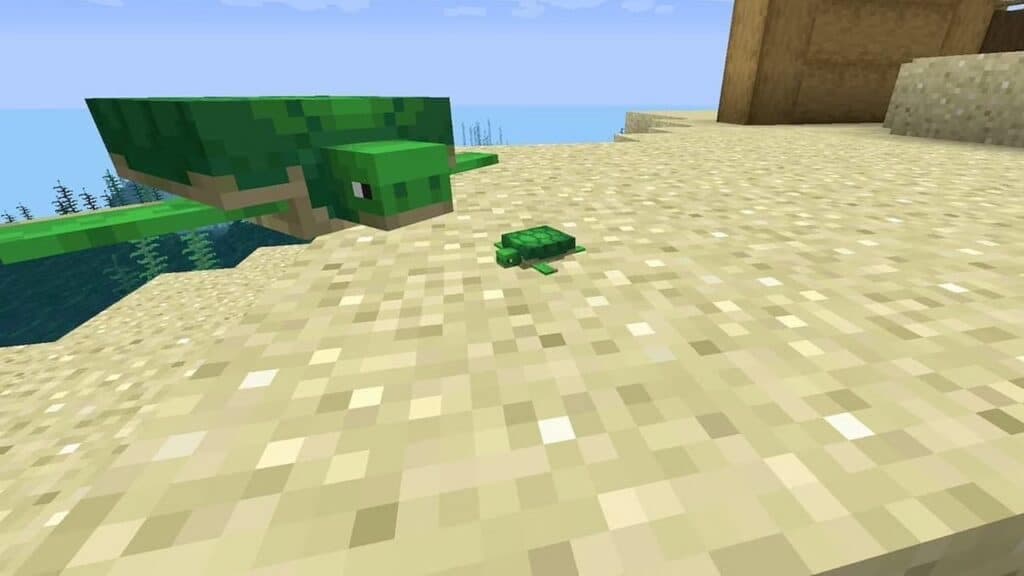 An adult turtle with a baby on a Minecraft beach