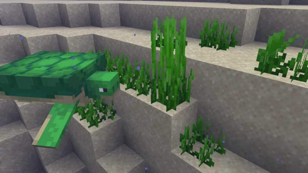 A Minecraft turtle alongside seagrass