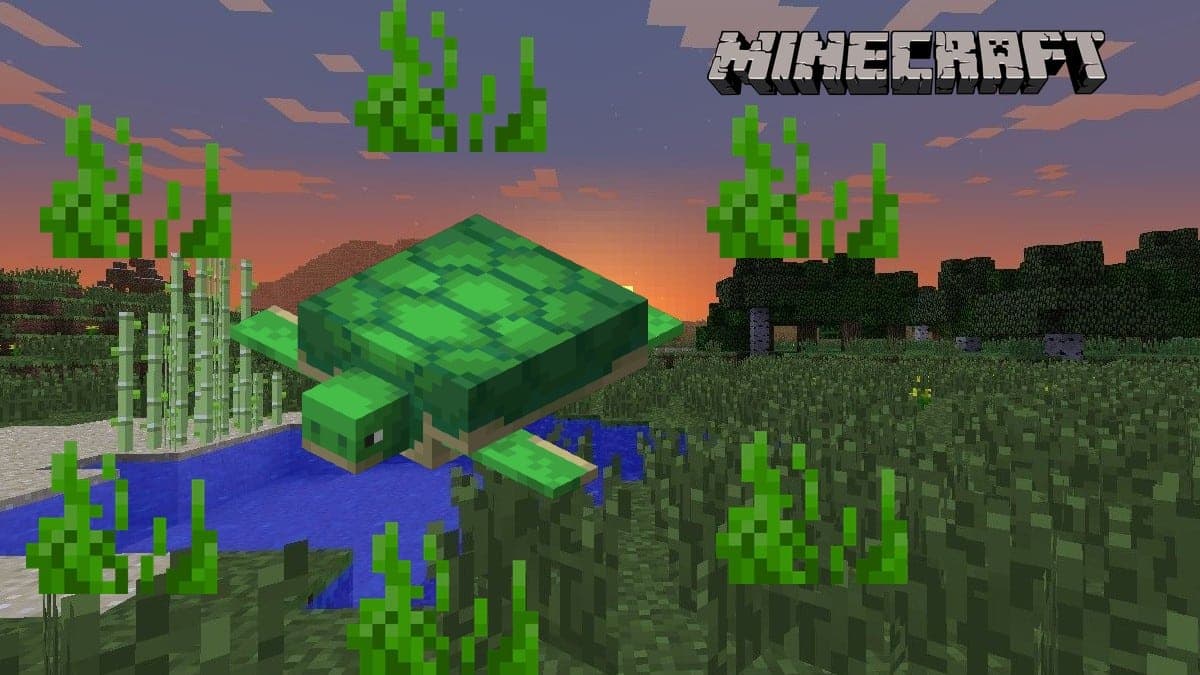 A Minecraft turtle with seagrass