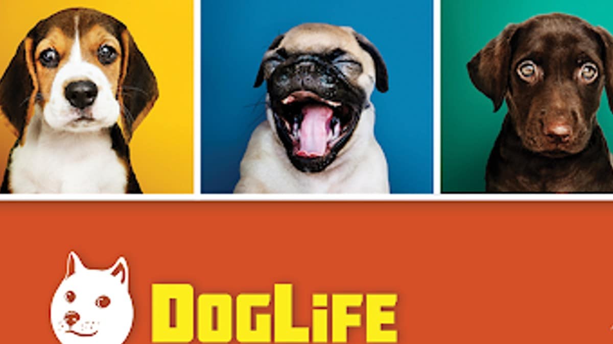 DogLife promo art