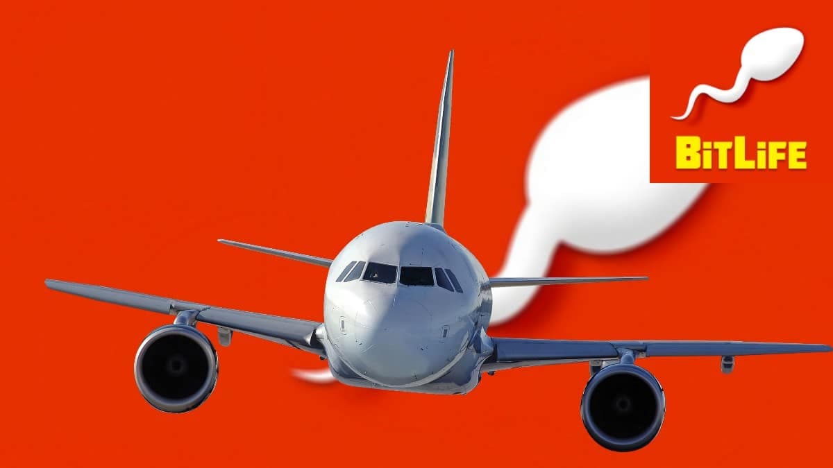 How to become a pilot in BitLife