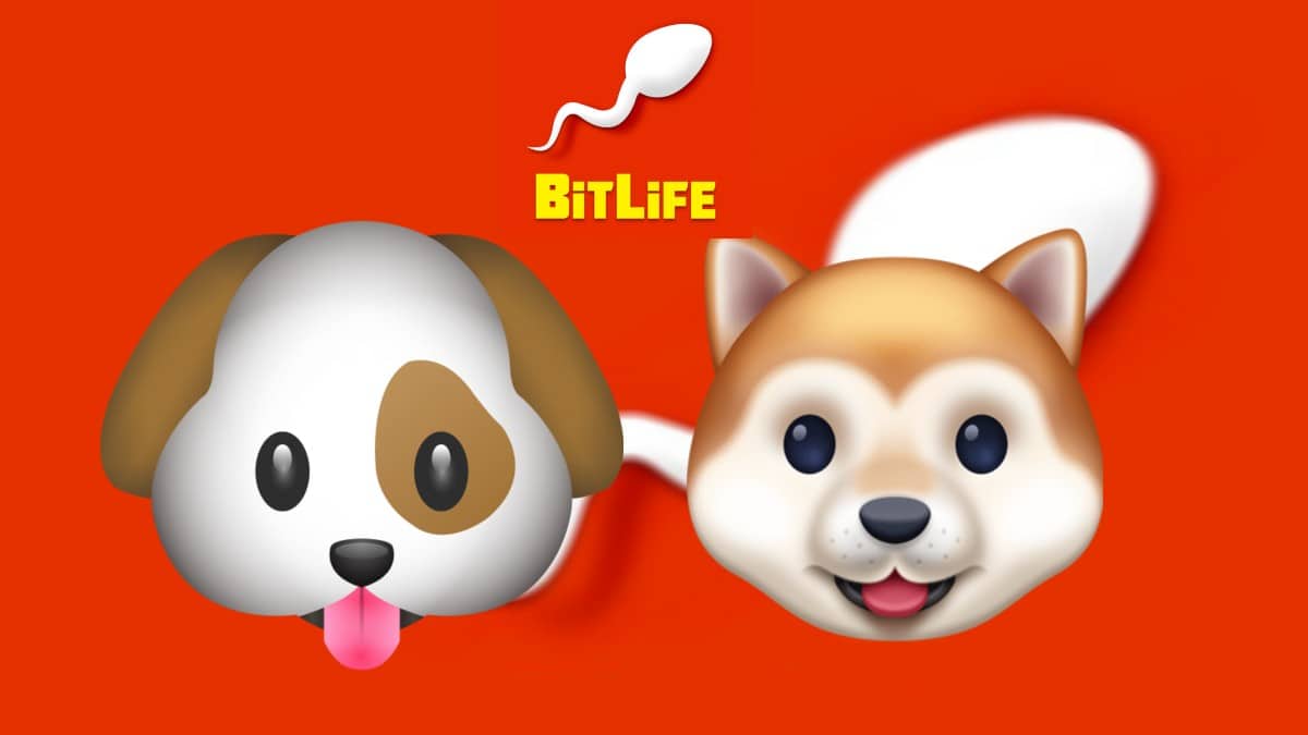How to become a veterinarian in BitLife