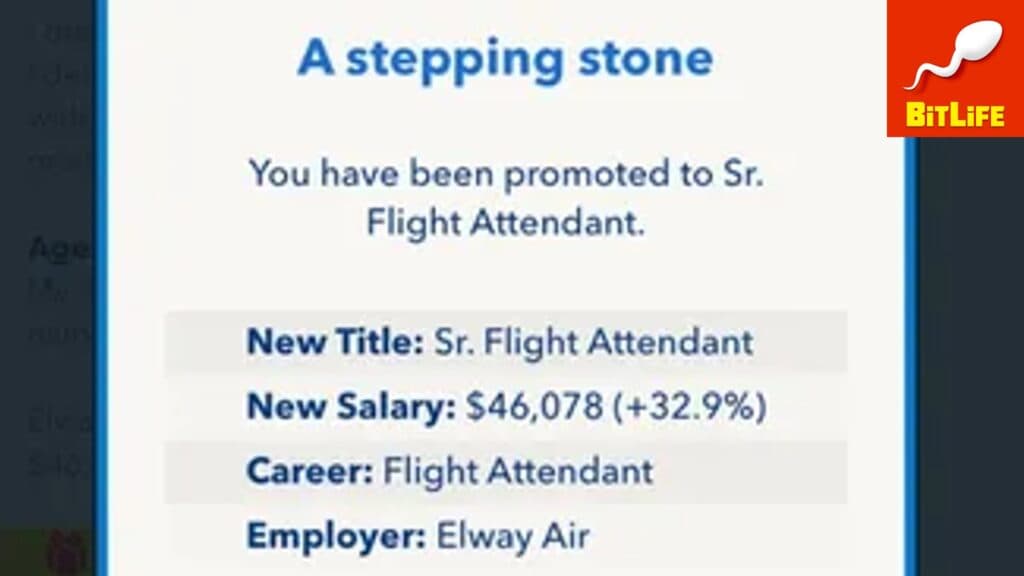 Sr. Flight attendant job in BitLife