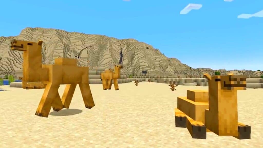 Camels in Minecraft