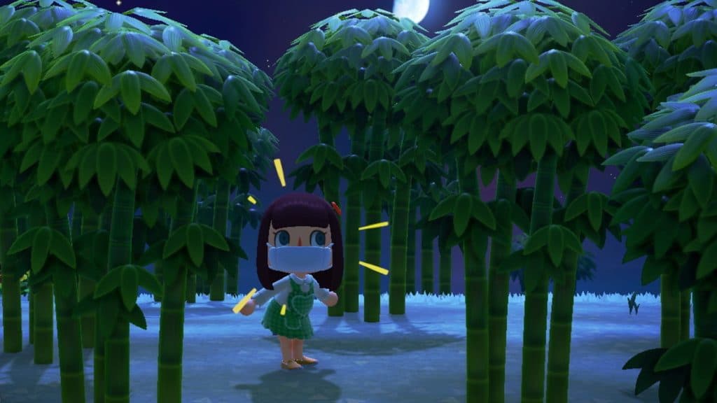 Animal Crossing New Horizons character standing amidst bamboo trees