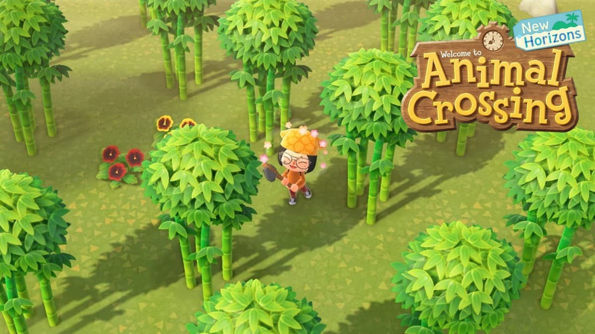 Bamboo island in Animal Crossing New Horizons
