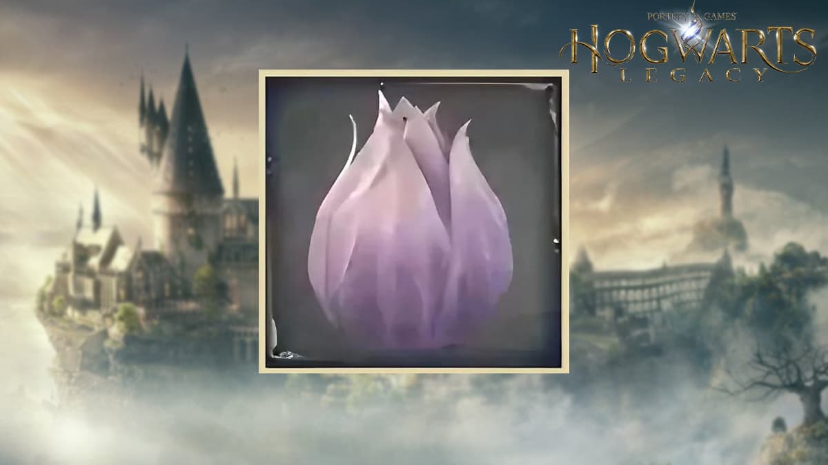 Shrivelfig Fruit in Hogwarts Legacy