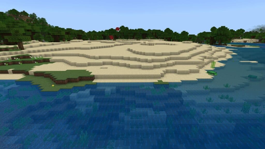 Beach biome in Minecraft
