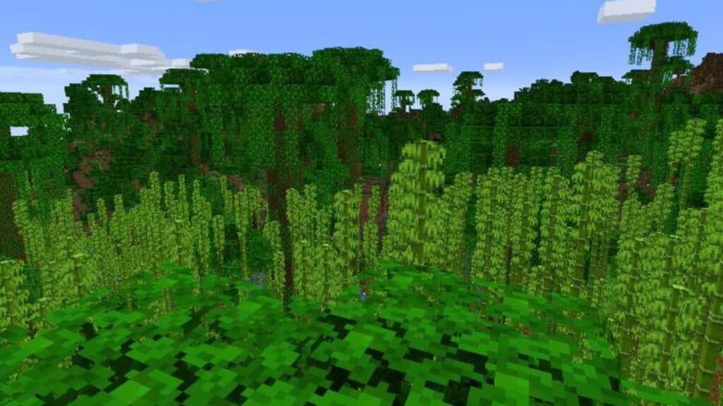 Bamboo jungle in Minecraft