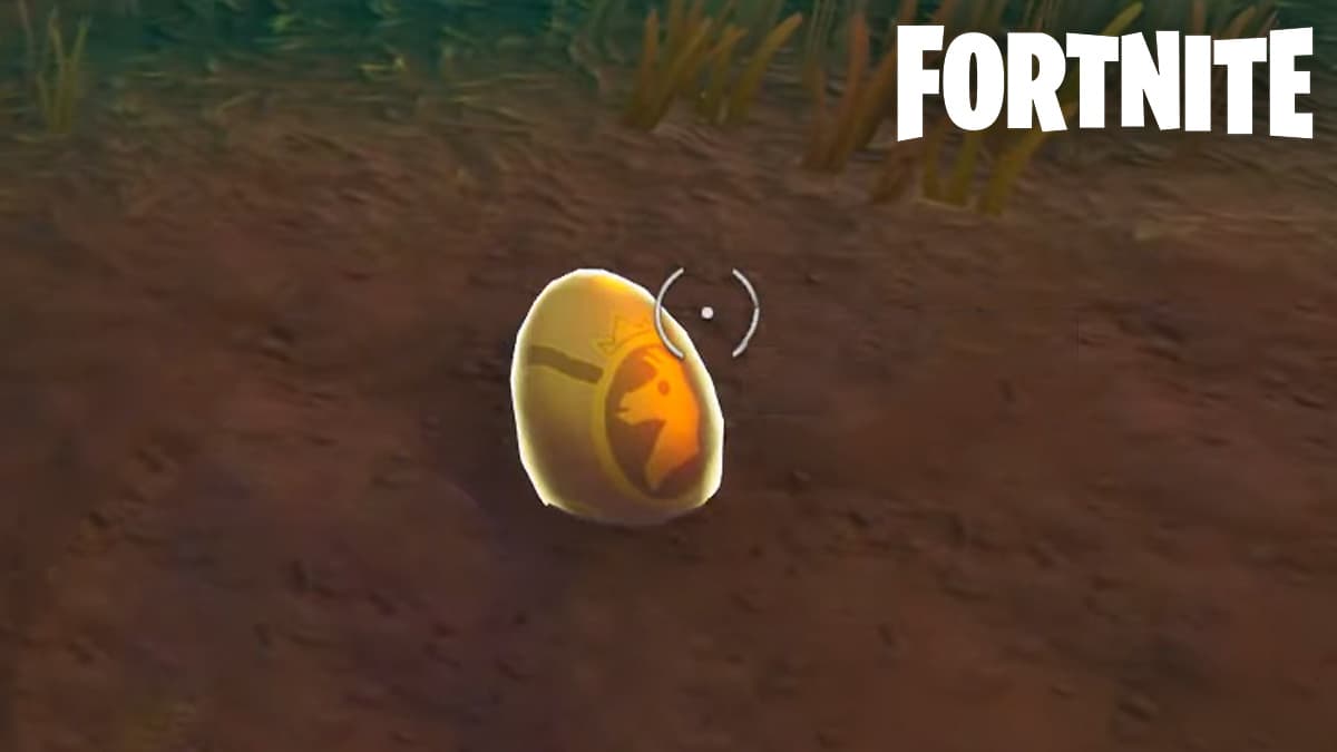 Laid egg in Fortnite