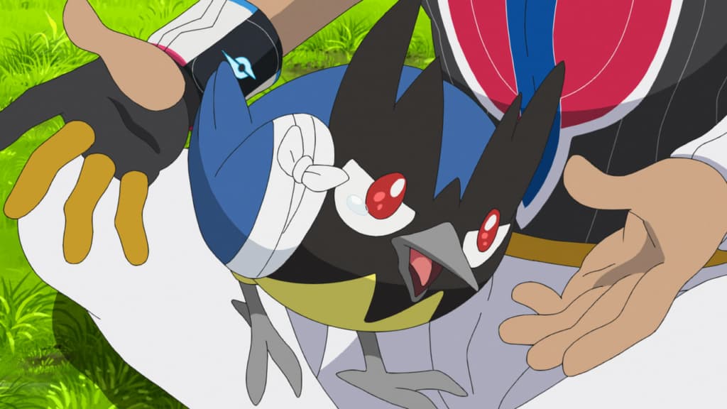 Rookidee as we see it in the Pokemon Anime.