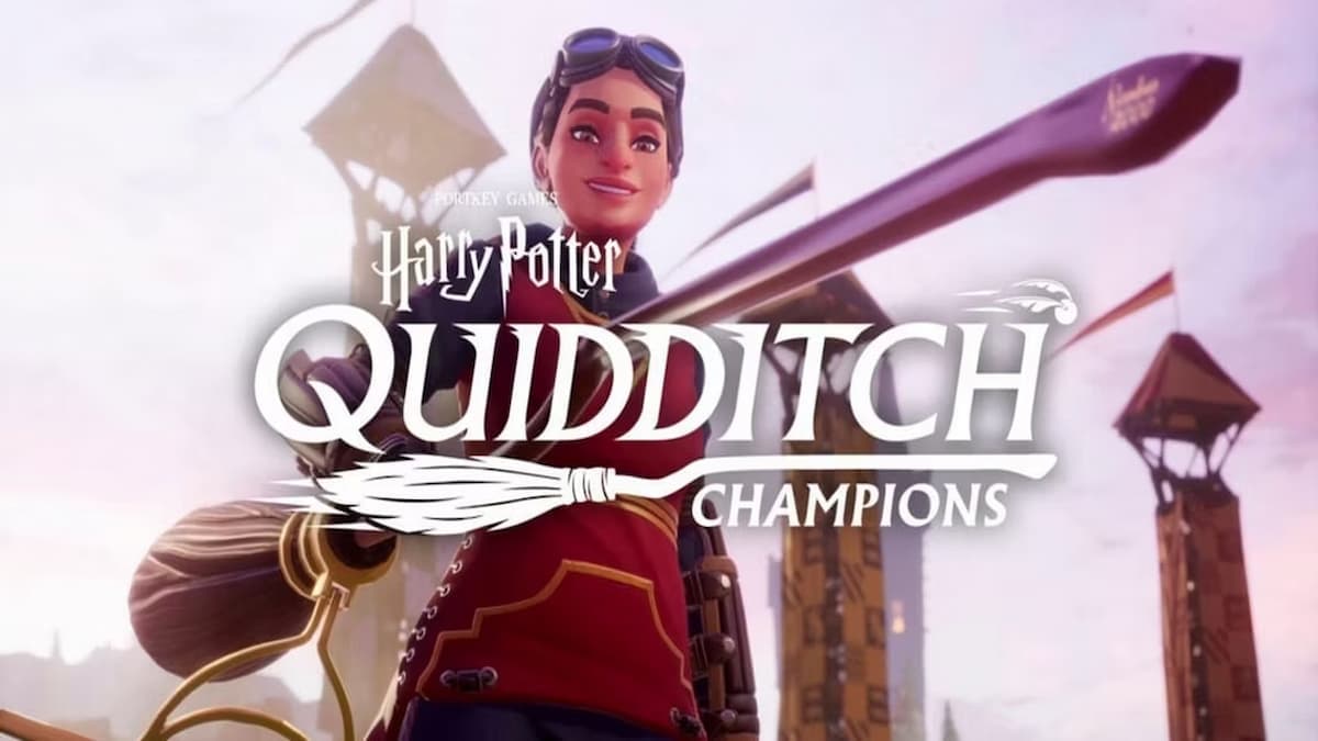 Harry Potter Quidditch Champions