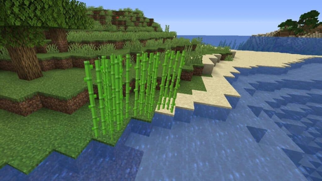 Sugar Cane growing near water in Minecraft