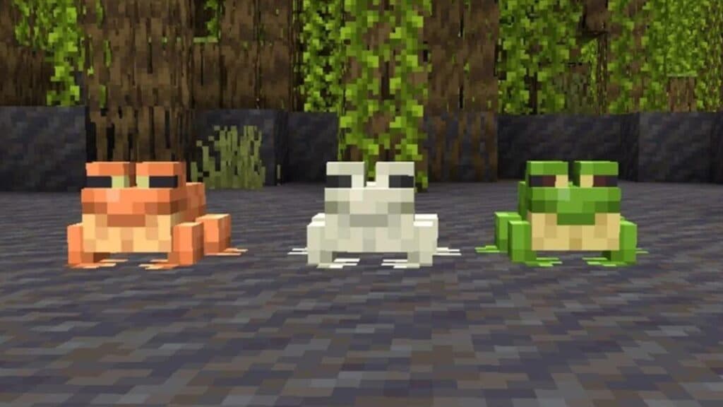 Three different types of frogs in Minecraft