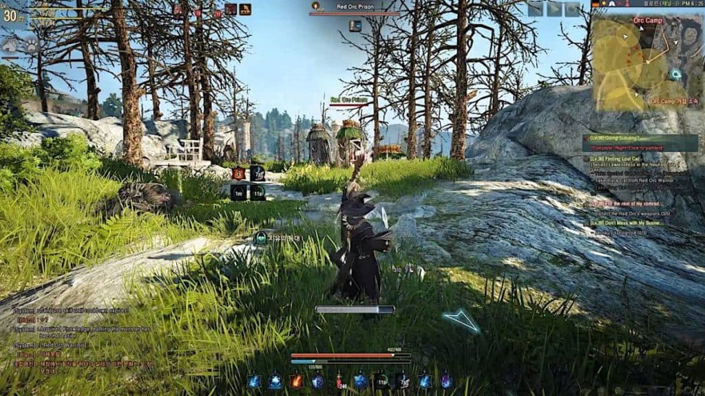 Black Desert Online gameplay