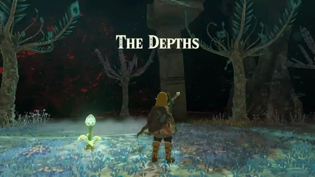 Link in the Depths in Zelda Tears of the Kingdom